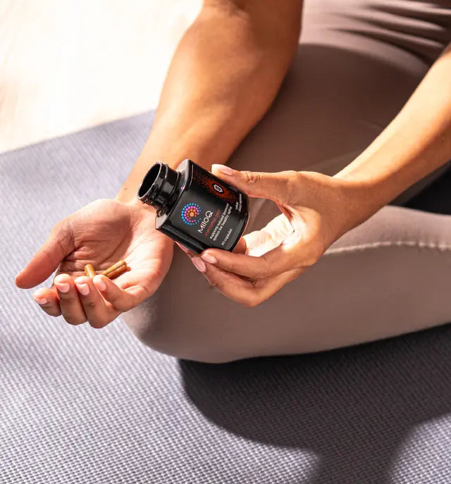 미토큐 커큐민 프로