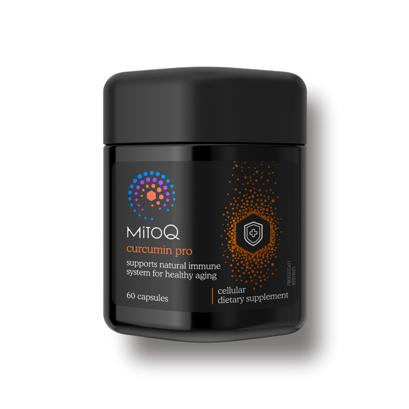 미토큐 커큐민 프로