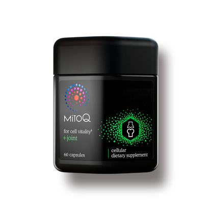 미토큐  +조인트